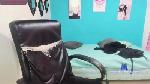 Filipdaviex cam4 livecam show performer room profile