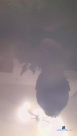 Circonferenza cam4 livecam show performer room profile