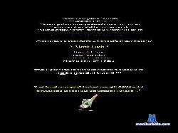AngelicaeRyan cam4 live cam performer profile