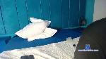 Jan_Flp cam4 livecam show performer room profile