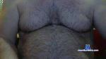 bearsitel cam4 livecam show performer room profile