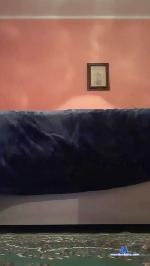 Bacannela cam4 livecam show performer room profile