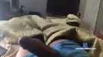 krissayshi cam4 livecam show performer room profile
