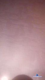 slecline cam4 livecam show performer room profile