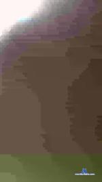 andrepedro34 cam4 livecam show performer room profile