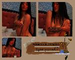 elidonato Camsoda livecam show performer room profile