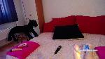 marlazinger Camsoda livecam show performer room profile