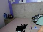 sweetumspiee Camsoda livecam show performer room profile