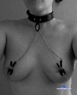 kellycarolina Camsoda livecam show performer room profile