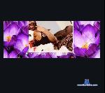camiiprincess Camsoda livecam show performer room profile