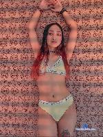 andromedapetit Camsoda livecam show performer room profile