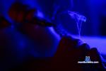 latin-venuss Camsoda livecam show performer room profile