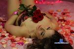 anlleela Camsoda livecam show performer room profile