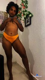 mettle24 Camsoda livecam show performer room profile