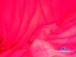 xvivianxlynnx Camsoda livecam show performer room profile
