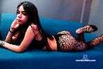nicolettefoxx Camsoda livecam show performer room profile