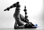 alika-shanty Camsoda livecam show performer room profile
