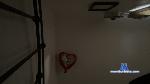 sexualhealing91 Camsoda livecam show performer room profile