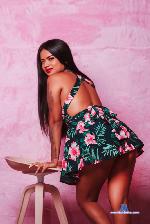 sofi-rosse Camsoda livecam show performer room profile