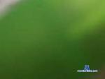 tuckelibu Camsoda livecam show performer room profile