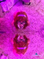 jadexx Camsoda livecam show performer room profile
