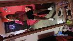 caterinasmith Camsoda livecam show performer room profile