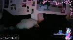 camillexxvalentine Camsoda livecam show performer room profile