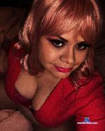 candystarr Camsoda livecam show performer room profile