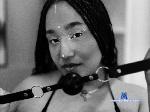 bela-foxy Camsoda livecam show performer room profile