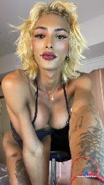 naimxoxo03 Camsoda livecam show performer room profile