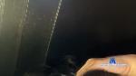 jessicaxannelle Camsoda livecam show performer room profile