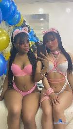 venus-evans Camsoda livecam show performer room profile