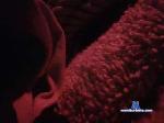 abbynormal Camsoda livecam show performer room profile