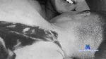 xfelixxx Camsoda livecam show performer room profile