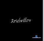 arielwillow Camsoda livecam show performer room profile
