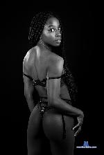 venus-bsq Camsoda livecam show performer room profile