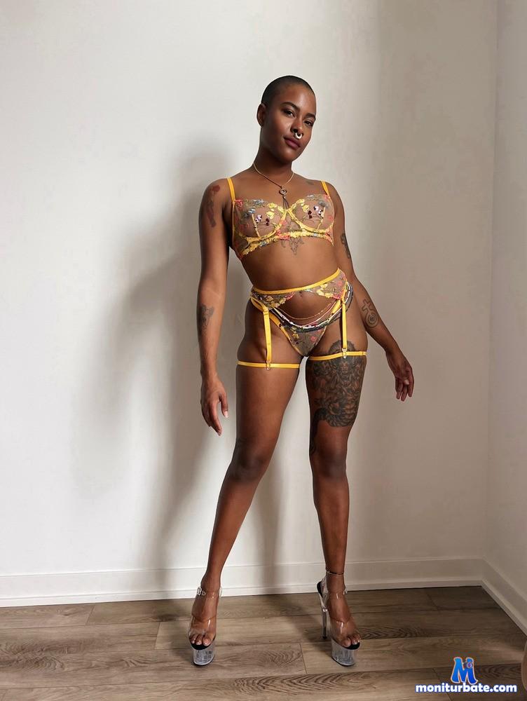 siren-stacks camsoda livecam performer profile