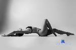dahianacruz Camsoda livecam show performer room profile