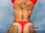 bellathorner Camsoda livecam show performer room profile