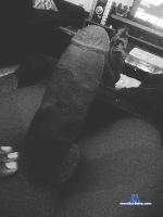 slimpinocchio Camsoda livecam show performer room profile