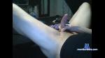 prollypullinmypeter Camsoda livecam show performer room profile