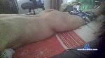 bratprit Camsoda livecam show performer room profile