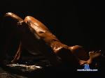 fallondemons Camsoda livecam show performer room profile
