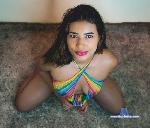 anizawilliams Camsoda livecam show performer room profile