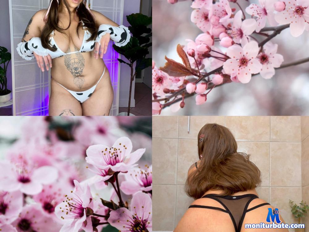 violetvice camsoda livecam performer profile