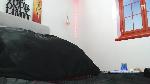 lavictoria Camsoda livecam show performer room profile