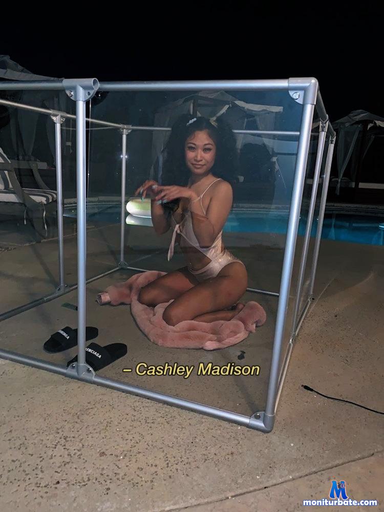 diamondflower camsoda livecam performer profile