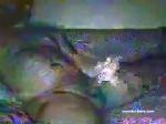 000dine chaturbate profile picture