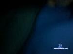 11lovelyman11 chaturbate profile picture