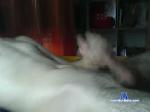 1234silva4321 chaturbate profile picture